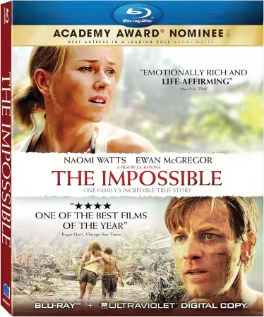 The Impossible 2012 1080p Bluray x265 HEVC 10bit AAC 5.1 BolshoiBooze