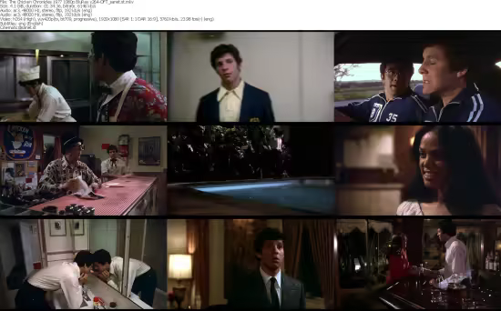 The Chicken Chronicles 1977 1080p BluRay x264-OFT