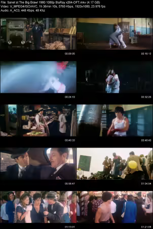 The Big Brawl 1980 1080p BluRay x264-OFT
