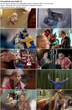 All i Want is Christmas 2012 1080p BRRip x264 AC3 DiVERSiTY