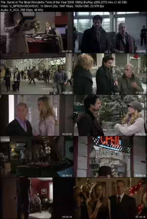 The Most Wonderful Time of the Year 2008 1080p BluRay x265-ZiTO
