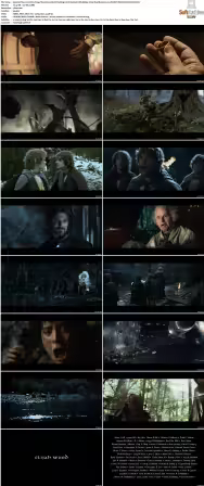 The Lord of the Rings The Fellowship of the Ring 2001 Extended UHD BluRay 2160p TrueHD Atmos 7 1 DV HDR HEVC REMUX-FraMeSToR