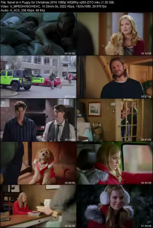 A Puppy for Christmas 2016 1080p WEBRip x265-ZiTO