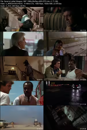 Lethal Weapon 1987 1080p BluRay x265-ZiTO
