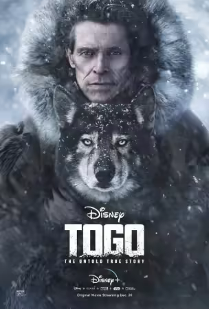 Togo 2019 German EAC3 1080p WEB HEVC-Cancer58