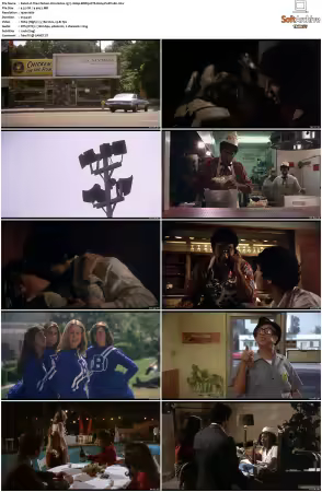 The Chicken Chronicles 1977 1080p BDRip DTS H264-PoPCoRn