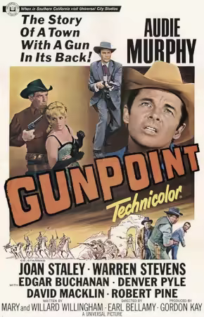 Gunpoint 1966 1080p BluRay x265-Lootera