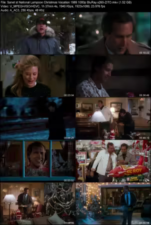 National Lampoon Christmas Vacation 1989 1080p BluRay x265-ZiTO