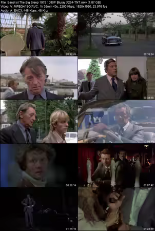 The Big Sleep 1978 1080P Bluray X264-TNT