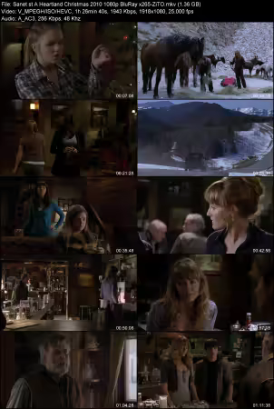 A Heartland Christmas 2010 1080p BluRay x265-ZiTO