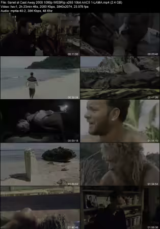 Cast Away 2000 1080p WEBRip x265 10bit AAC 5.1-LAMA