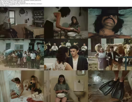 Ruzove Sny aka Rose Tinted Dreams 1977 720p BluRay x264-BRA