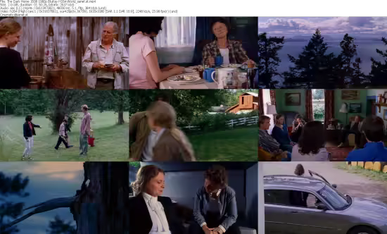 The Dark Horse 2008 1080p BluRay H264-World