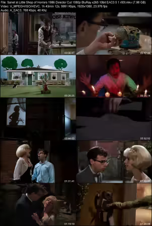 Little Shop of Horrors 1986 Director Cut 1080p BluRay x265 10bit EAC3 5.1 r00t