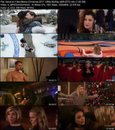 A Bad Moms Christmas 2017 1080p BluRay x265-ZiTO