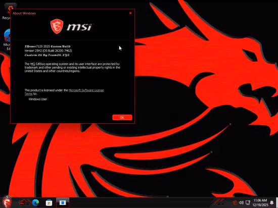 Windows 11 Pro 25H2 Build 26200.7462 MSI Edition