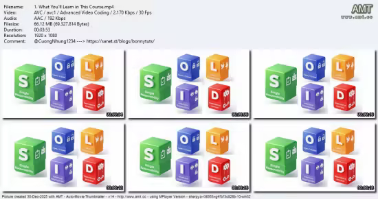 SOLID Principles: Introducing Software Architecture &amp; Design