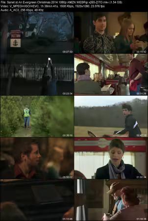 An Evergreen Christmas 2014 1080p AMZN WEBRip x265-ZiTO
