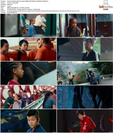The Karate Kid 2010 2160p iT WEB-DL DTS-HD MA 5.1 DV HDR H265-DRX