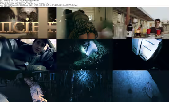 Dark Flower 2011 1080p BluRay H264-World