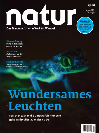 natur - Nr.01, 2026