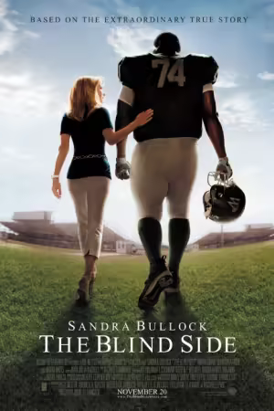 Blind Side Die grosse Chance 2009 German AC3 DL 1080p BluRay x265-FuN