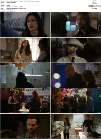 Walker 2021 S03 1080p AMZN Webrip DDP5.1 x265-Vialle