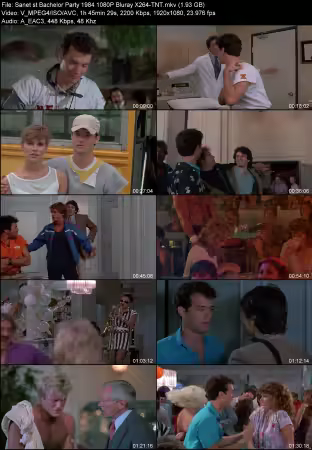 Bachelor Party 1984 1080P Bluray X264-TNT