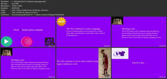 Learn Tigrinya Language From Beginner To Advance Level