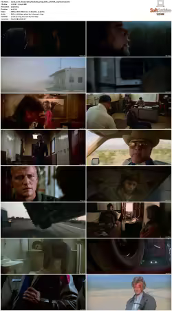 The Hitcher 1986 UHD BluRay 2160p DDP 7.1 DV HDR x265-hallowed