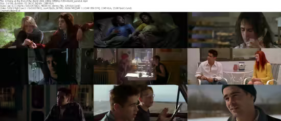 A Home at the End of the World 2004 1080p WEBRip H264-World