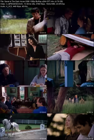 The Dark Horse 2008 1080p BluRay x264-OFT