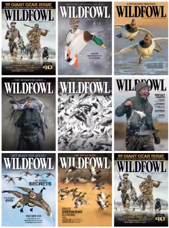 Wildfowl - Full Year 2025 Collection