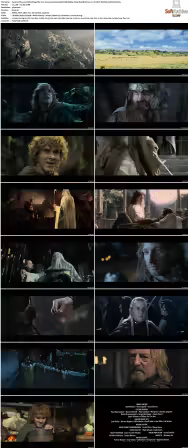 The Lord of the Rings The Two Towers 2002 Extended UHD BluRay 2160p TrueHD Atmos 7 1 DV HDR HEVC REMUX-FraMeSToR