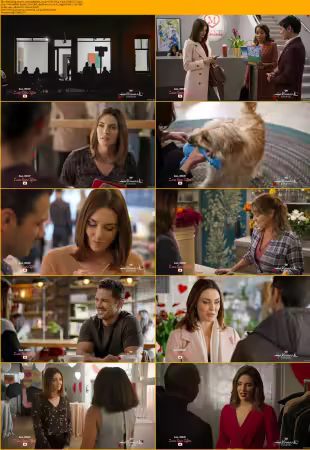Hallmark 2020 Movie Collection Mixed 720p x264-Solar