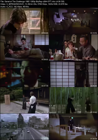 The Challenge 1982 1080p BluRay x264-OFT