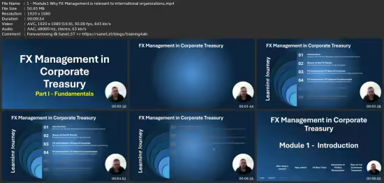 Fx Management In Corporate Treasury - Part 1 - Fundamentals