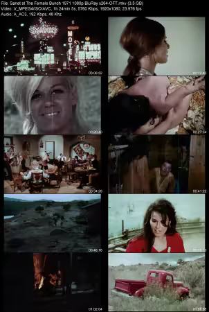 The Female Bunch 1971 1080p BluRay x264-OFT