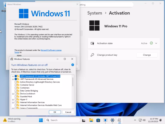 tiny11 Core 25H2 Build 26200.7171 Multilingual Preactivated