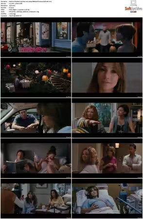 The Back-Up Plan 2010 1080p BDRip DTS H264-PoPCoRn