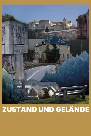 Zustand und Gelände 2019 1080p BluRay H264-World