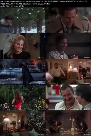 National Lampoons Christmas Vacation 1989 720P BRRIP XVID AC3-MAJESTiC