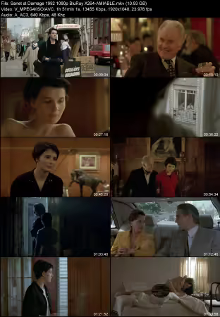 Damage 1992 1080p BluRay X264-AMIABLE