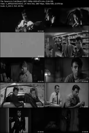 In Cold Blood 1967 1080p H265-NTH