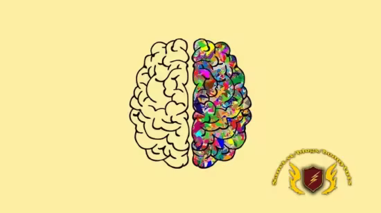 Psychology 101: The Science of Mind and Behavior