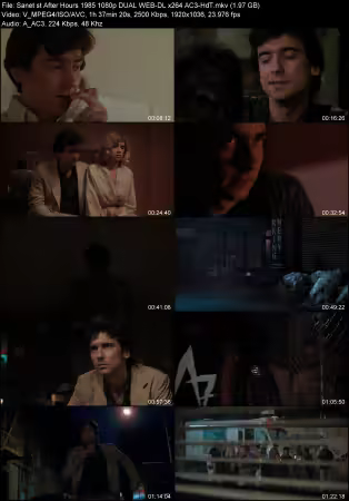 After Hours 1985 1080p DUAL WEB-DL x264 AC3-HdT