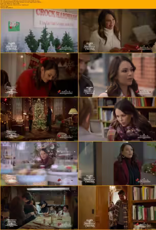 Hallmark 2020 Movie Collection Mixed 720p x264-Solar