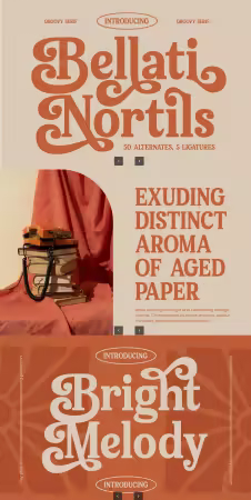 EE - Bellati Nortils - Groovy Serif Font MSPJ7HJ