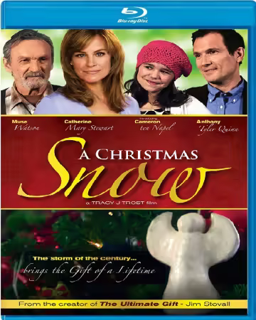 A Christmas Snow 2010 1080p BluRay x265-ZiTO