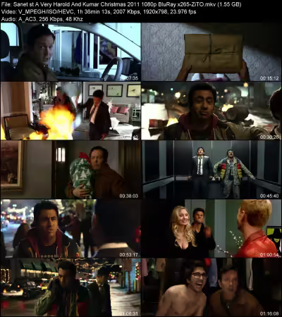 A Very Harold And Kumar Christmas 2011 1080p BluRay x265-ZiTO